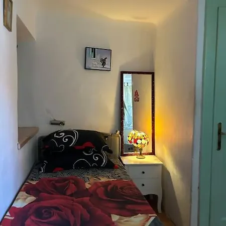 Cute In Apartment
