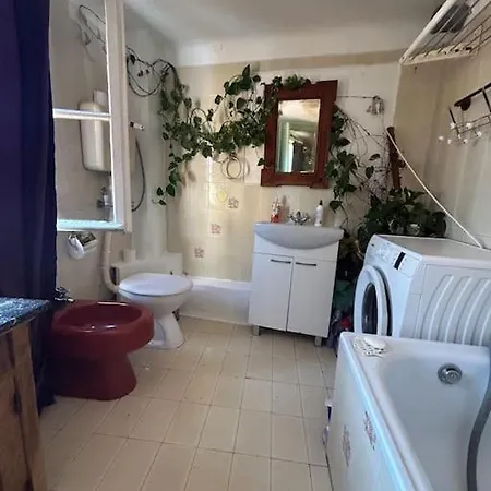 Apartment Cute In